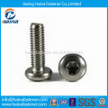 Acier inoxydable Torx Pan Head Tamper Proof Security Screw